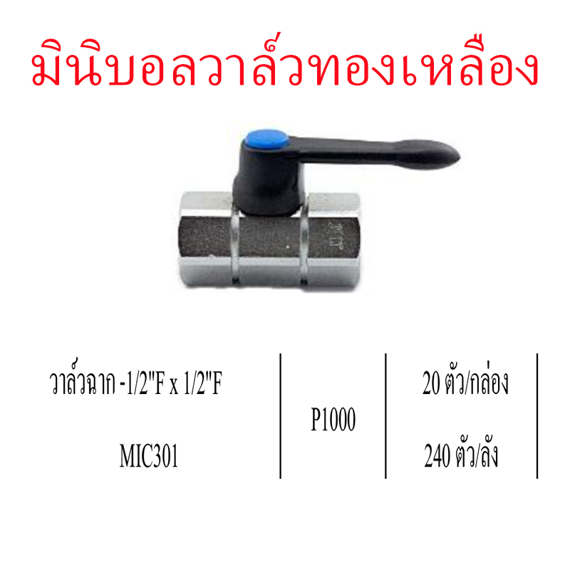 วาล์วฉาก 1/2Fx1/2F P1000 ราคาขายต่อกล่อง สินค้าได้ตามภาพ