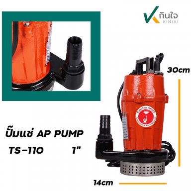 ปั๊มแช่ เหล็กหล่อ AP PUMP TS 110 1 นิ้ว และ อะไหล่