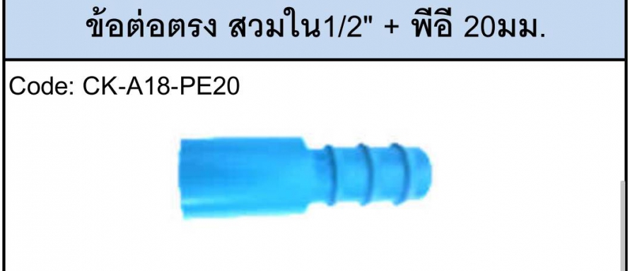 ข้อต่อตรง สวมใน 1/2+PE20mm. CK ราคาต่อ1กล่อง