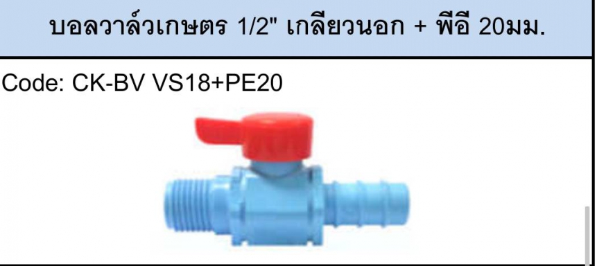 บอลวาล์ว 1/2 เกลียวนอก+PE20mm. ราคาต่อ 1กล่อง