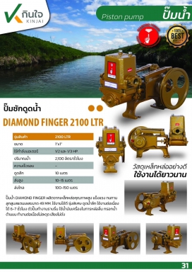 ปั๊มช้ก DIAMOND FINGER 2100 LTR ขนาด 1 นิ้ว และ อะไหล่