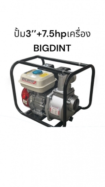 ปั๊ม 3 นิ้ว+7.5Hp Bigdint สินค้าตามรูป