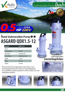 ปั๊มแช่QDX - 375W ขนาด 1 นิ้ว และ 1.5 นิ้ว ASGARD  มอเตอร์ 0.5 HP