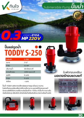 ปั๊มแช่ 1.1/2 เหล็กหล่อ นิ้วเพชร WS-250